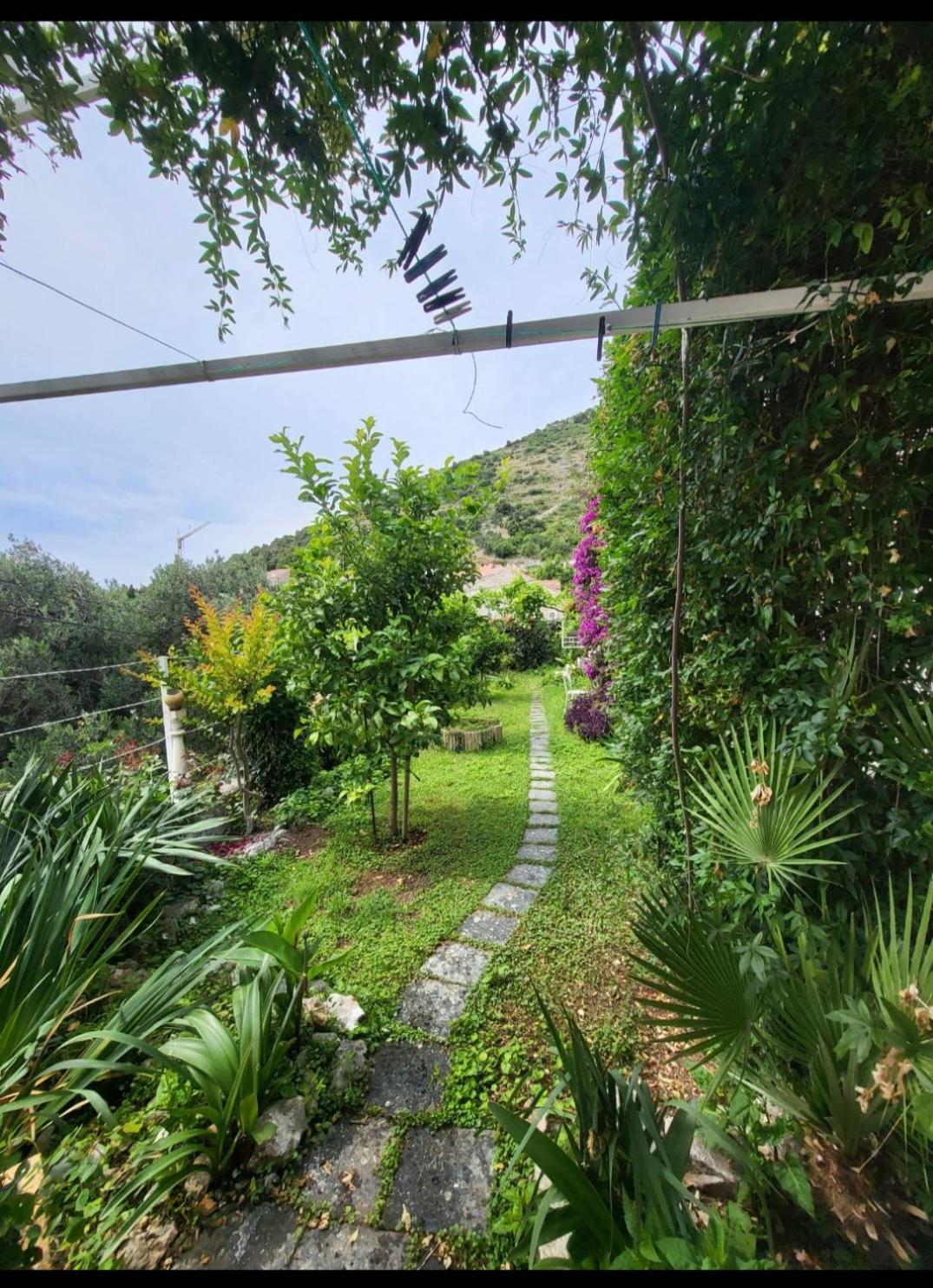 Greengarden Dubrovnik Exteriör bild